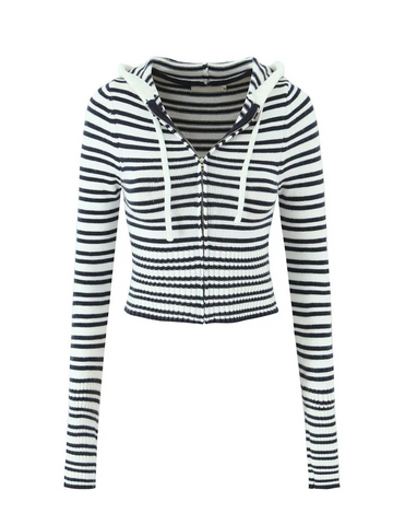 Brie Striped Knit Crop Hoodie