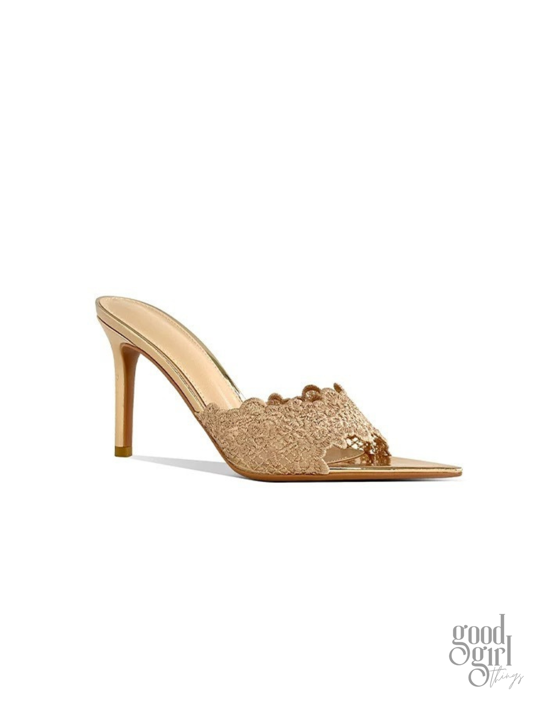 Nisa Lace Pointed-Toe Heeled Mules