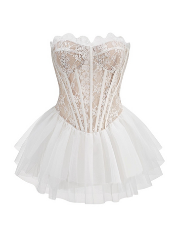 Eliana Lace Corset Tulle Mini Dress