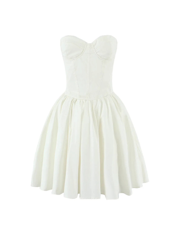 Chevelle Strapless Pleated Mini Dress