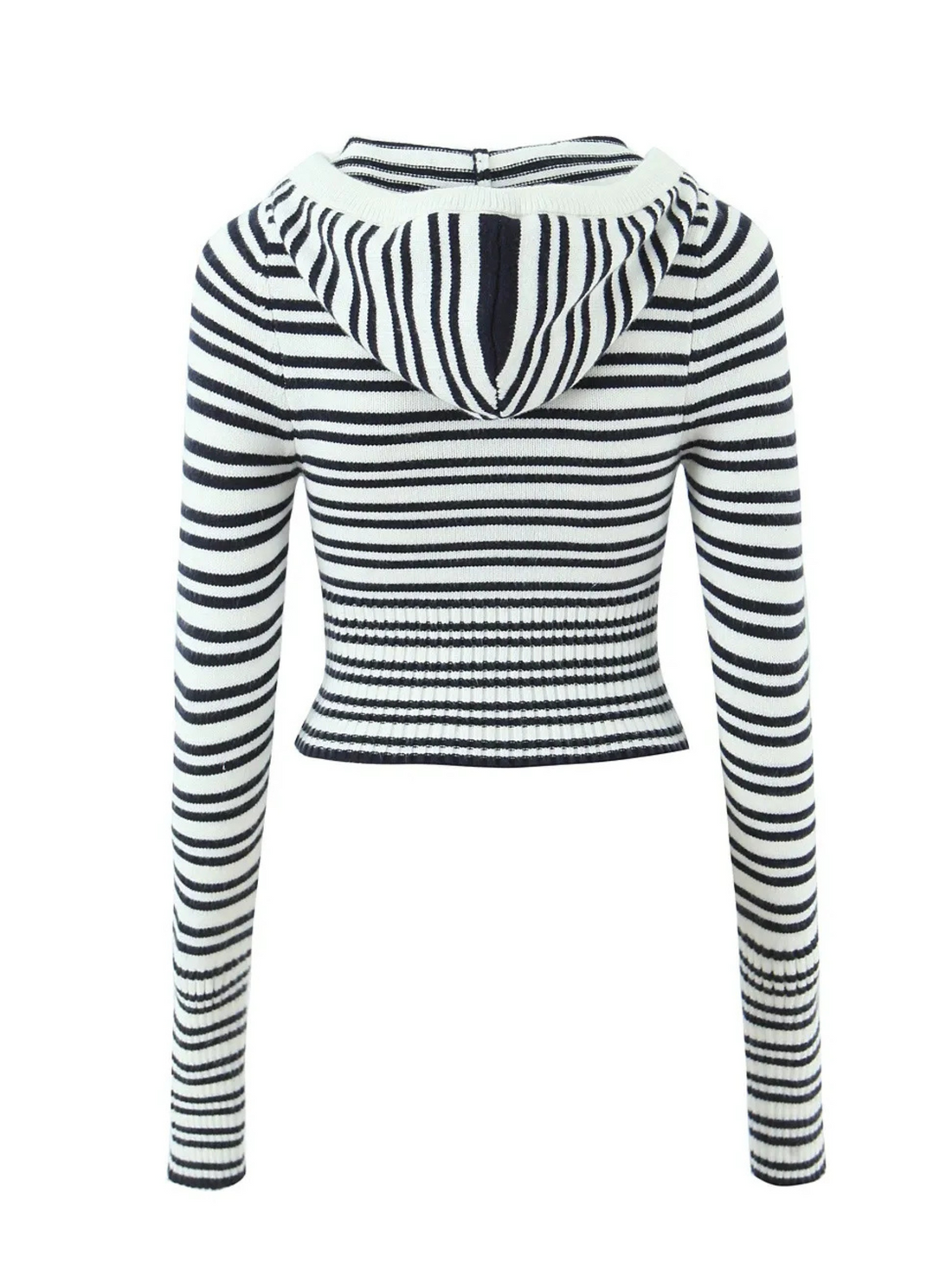 Brie Striped Knit Crop Hoodie