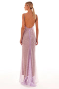 Cayla Sequin Mesh Maxi Dress [1TZNN47H]